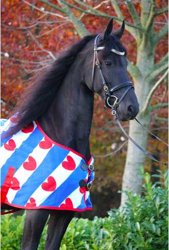 Adin horse rug