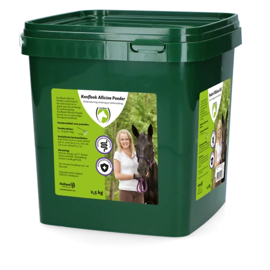 Allicin garlic powder 2,0 kg