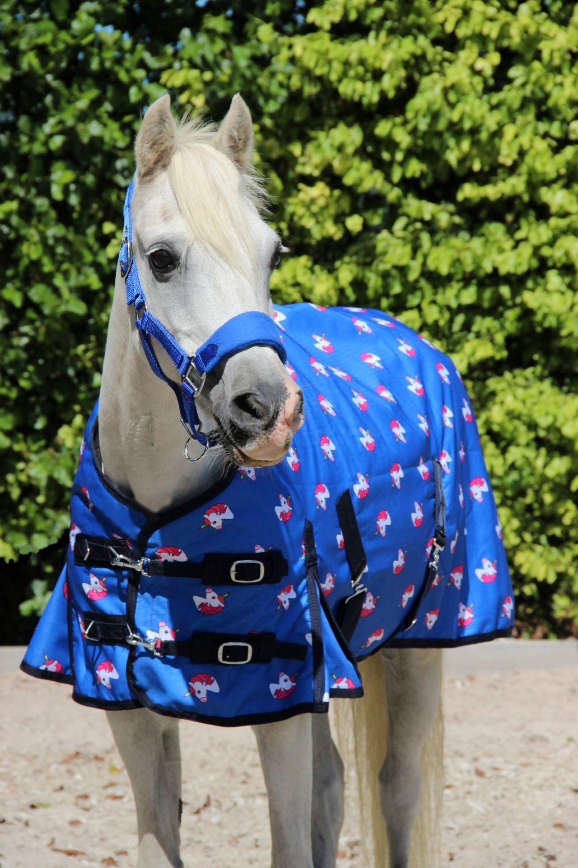 Harry and Hector Unicorn Pony horse rug