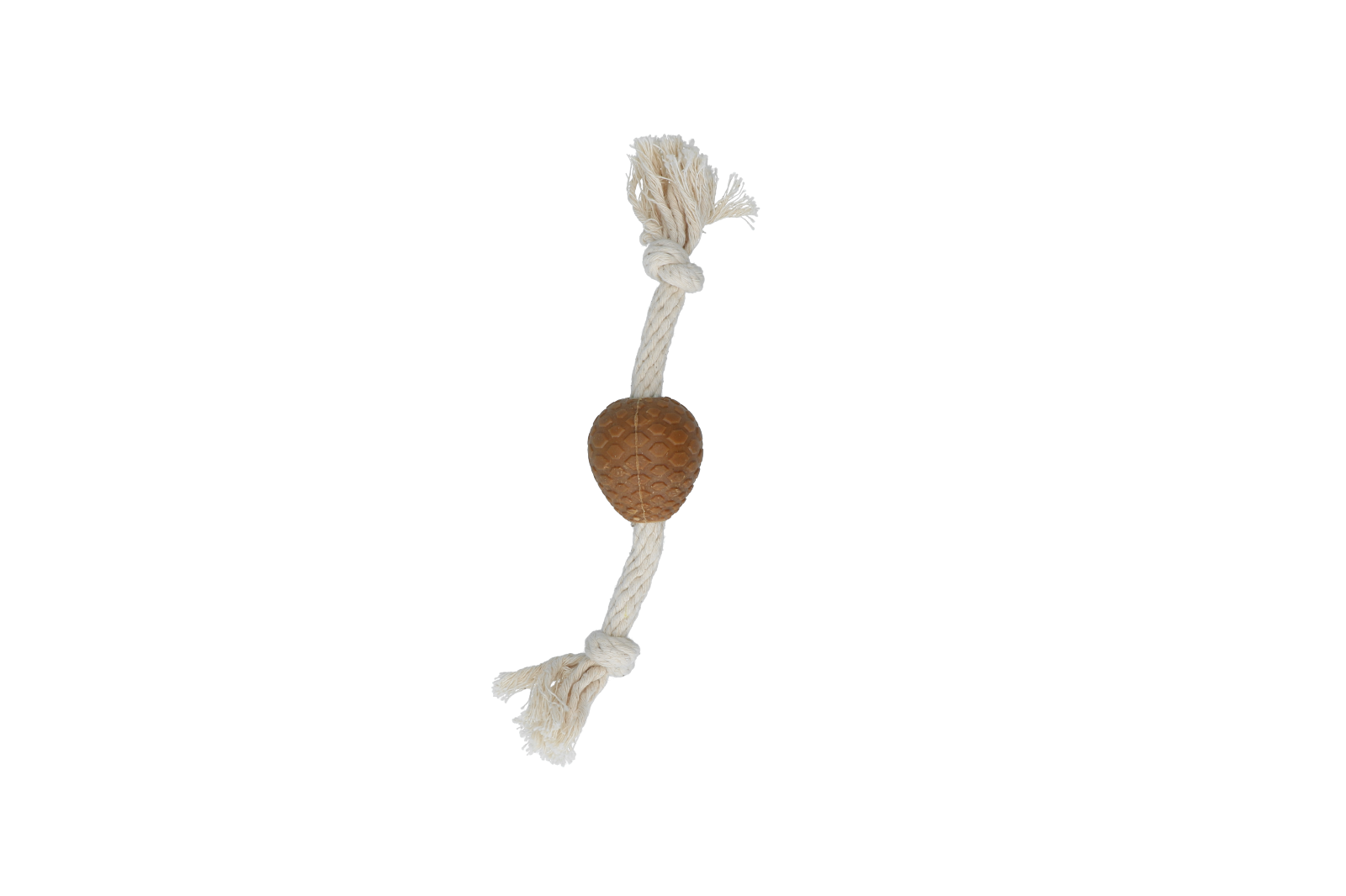 Wild nature wooden pine cone with rope S dog toy chew toy