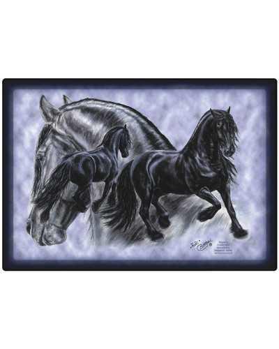 B-31 washer price with 2 sets of Frisian horses as a gift