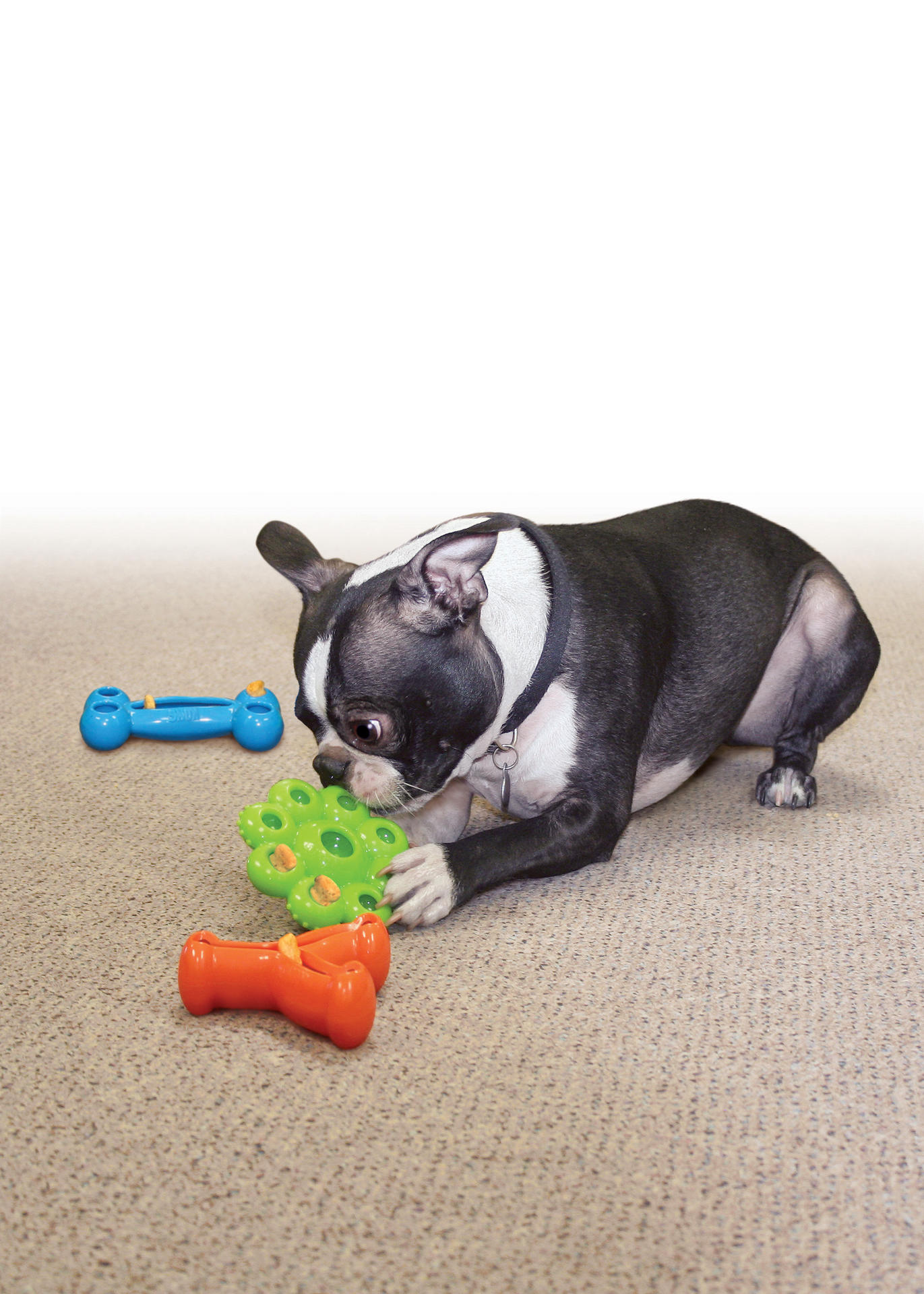 Slow feeder toy  for dog