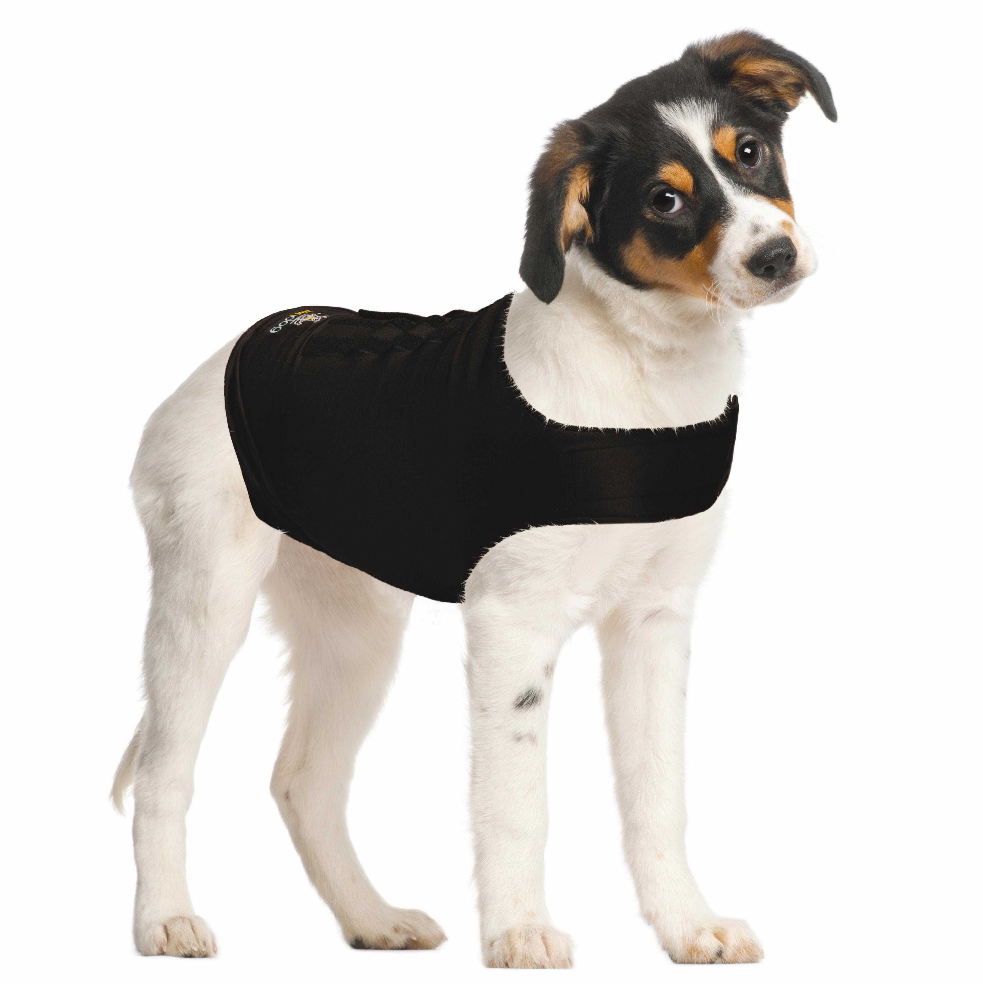 Antistress T-shirt for dogs M