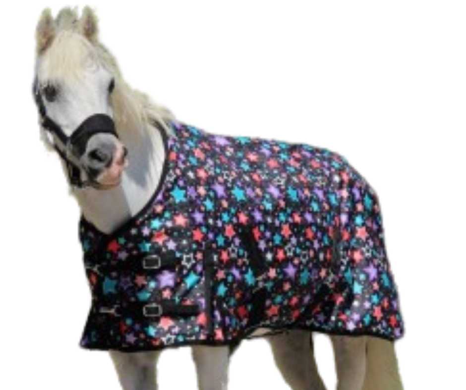 Harry and Hector Fantasy Outdoor Pony horse rug