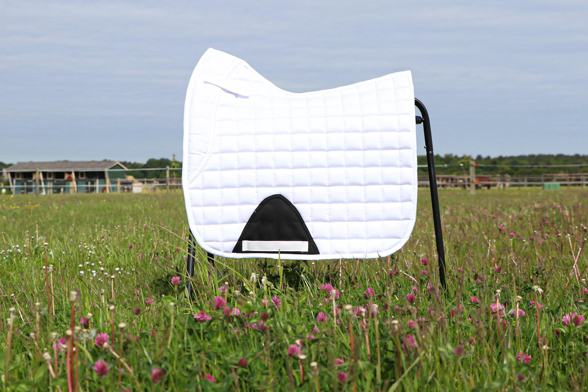 Dreaming Dressage Saddle pad