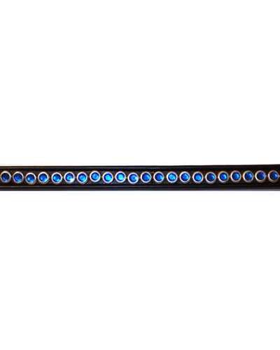 Blue Gems browband