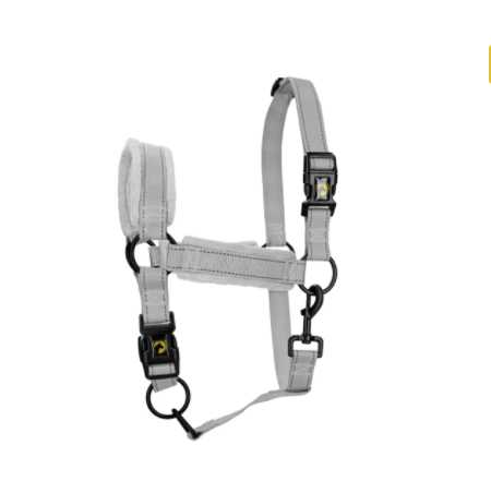 Monzo Headcollar, halter