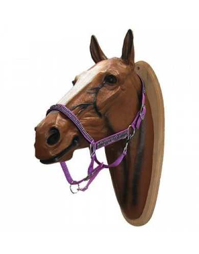 Volla Headcollar, halter