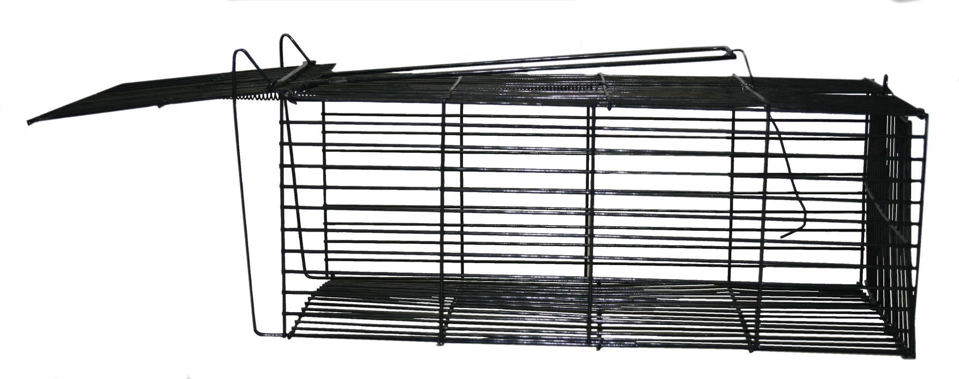 rat trap barn pest control live catch traps