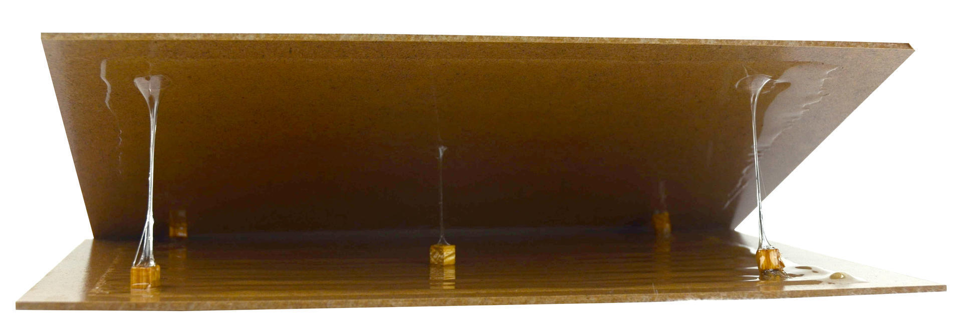 Sticky trap 20x30cm for mice against insects