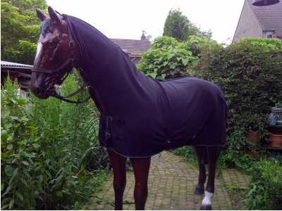 Helmond horse rug with neck