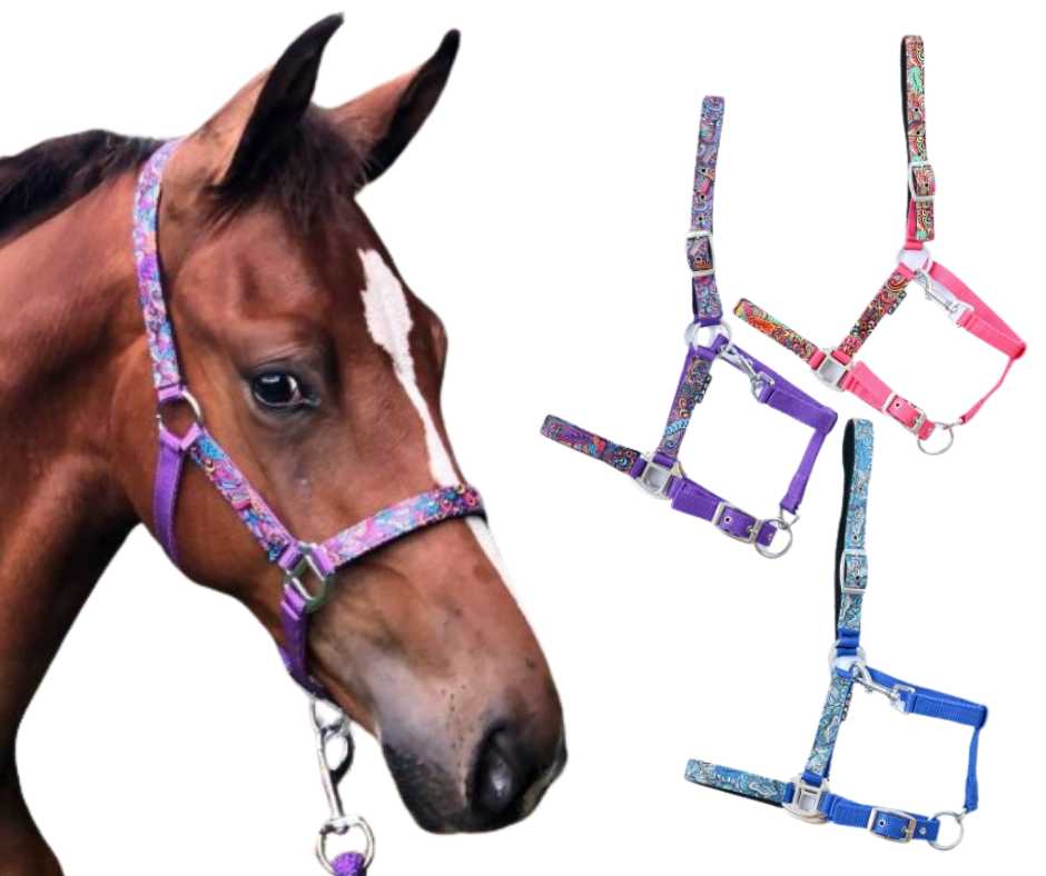 Fantasy Headcollar, halter