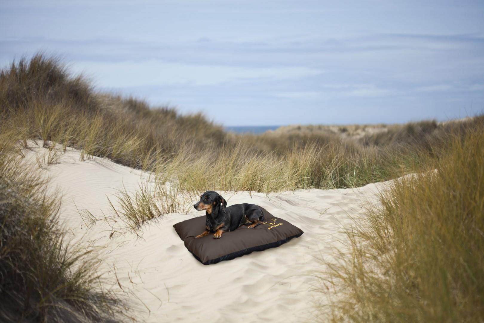 Elegant dog pillow S