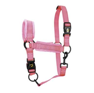 Monzo Headcollar, halter
