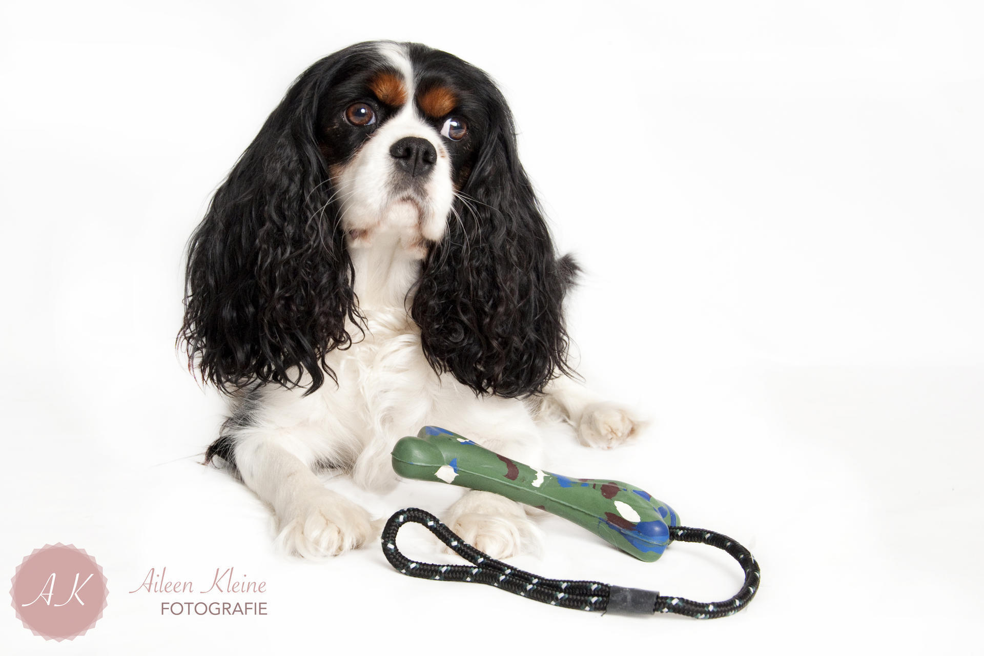 bone toy with reflective rope 17cm dog toy