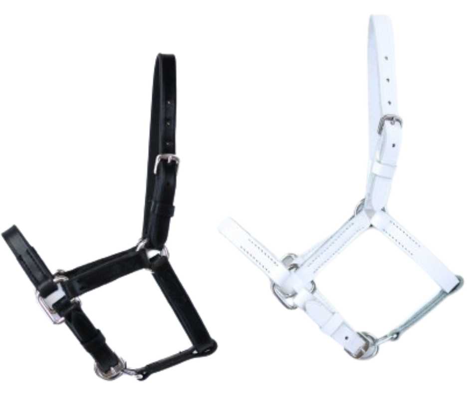 Kitty Mini Shatland headcollar, halter