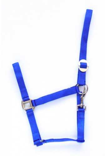 Apollo Nylon headcollar