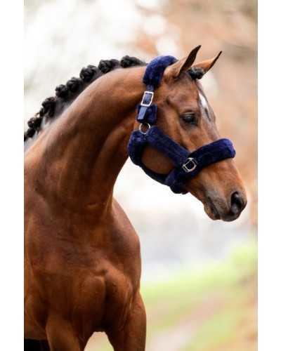 Borgo Headcollar, halter