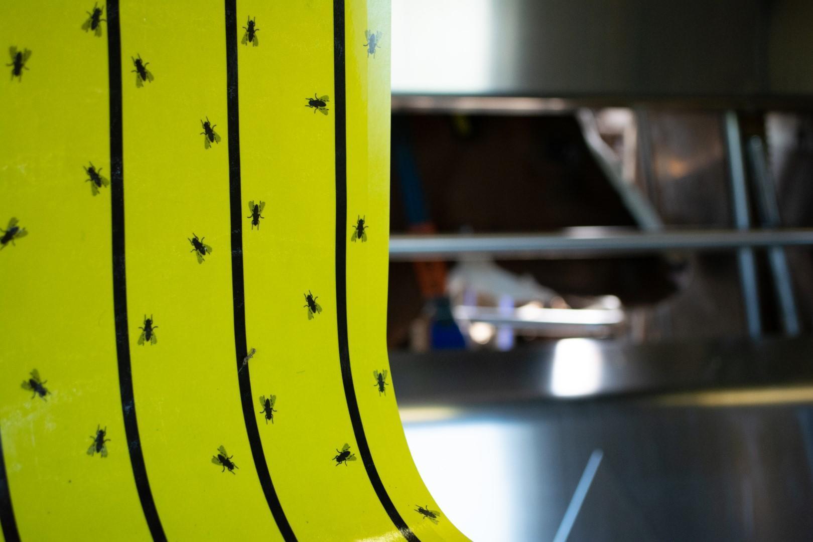 fly control adhesive tape yellow 7 M for livestock stable pest control adhesive traps