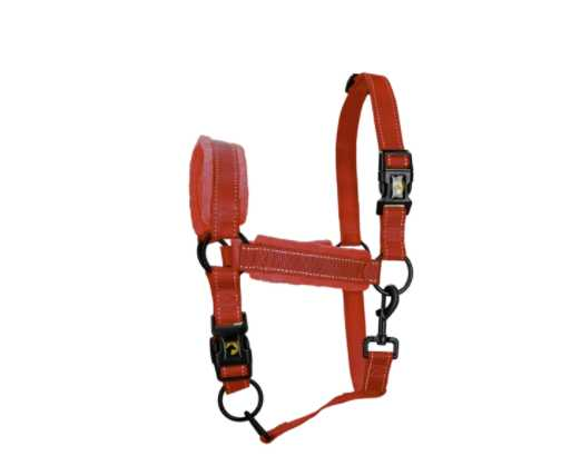 Monzo Headcollar, halter