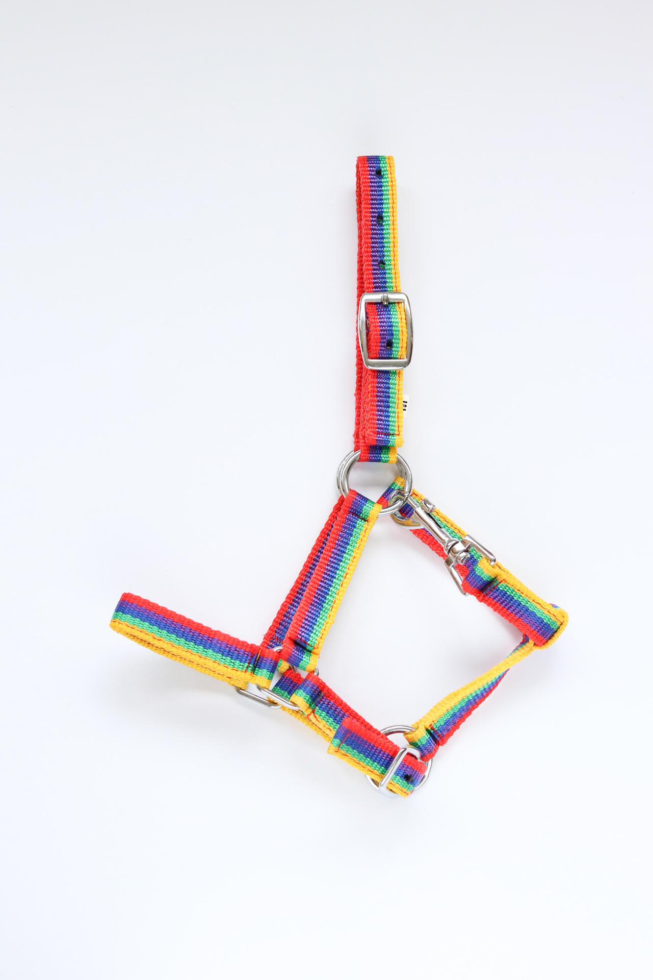 Astrid foal headcollar