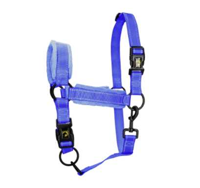 Monzo Headcollar, halter