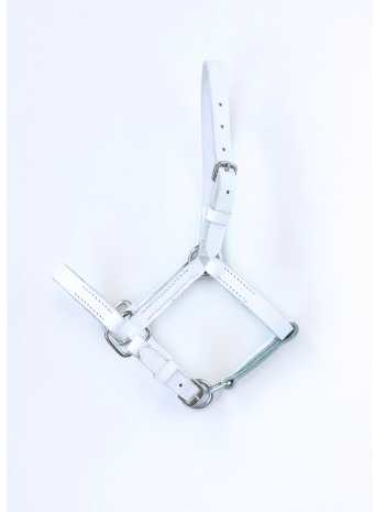 Kitty Mini Shatland headcollar, halter