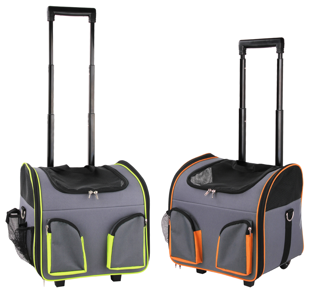 Car, cat, dog transport, travel, carrier