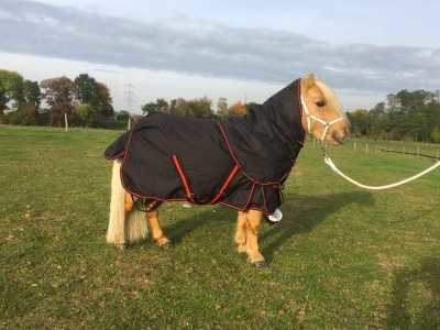 Harry and Hector winter horse rug with neckline