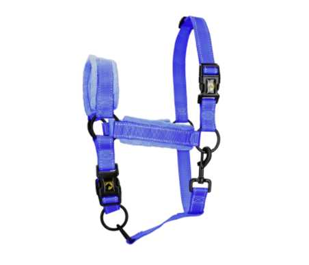Monzo Headcollar, halter
