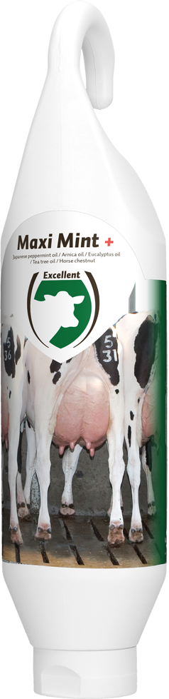 Maxi Mint Plus cattle udder care, standing, in hanging bottle