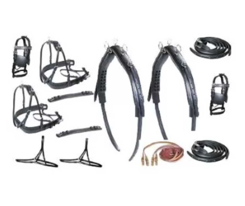 Diplomat SS Pair Driving Harness