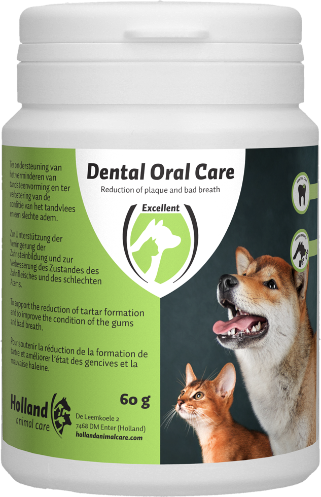 Dental oral care