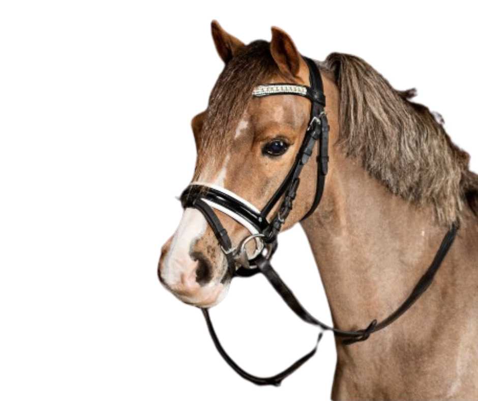 Showtime Glamerdale bridle