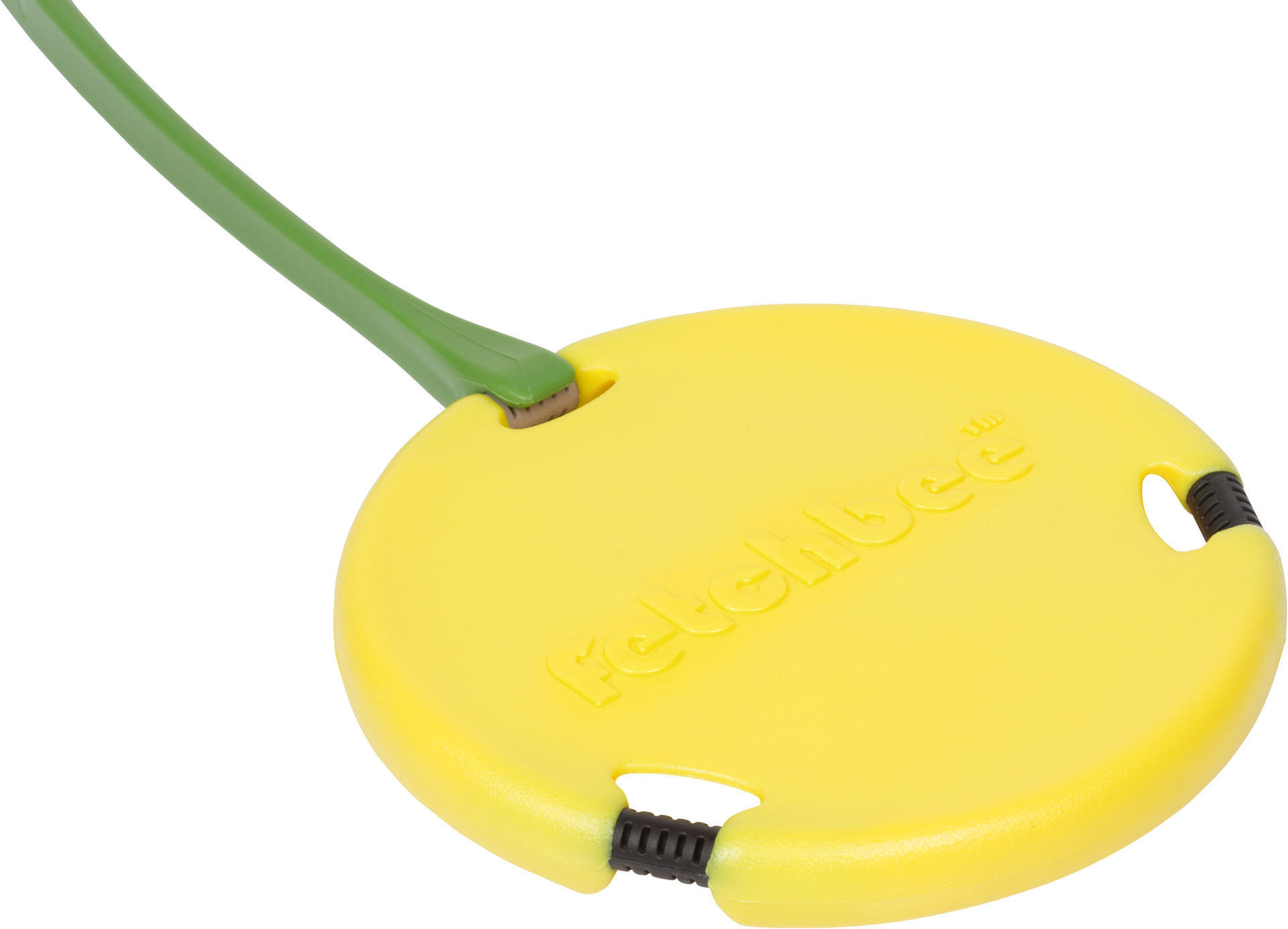 Yellow dog toy frisbee