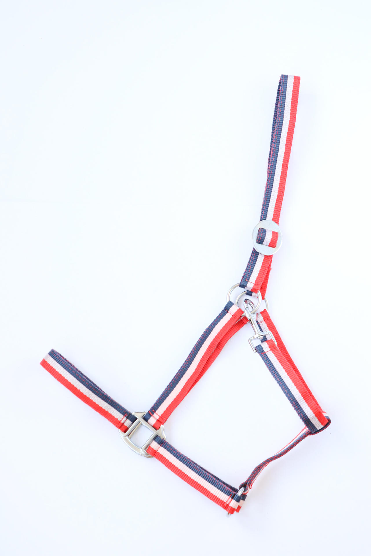 Apollo Nylon headcollar