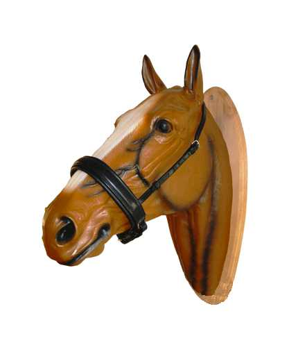 Bambi noseband