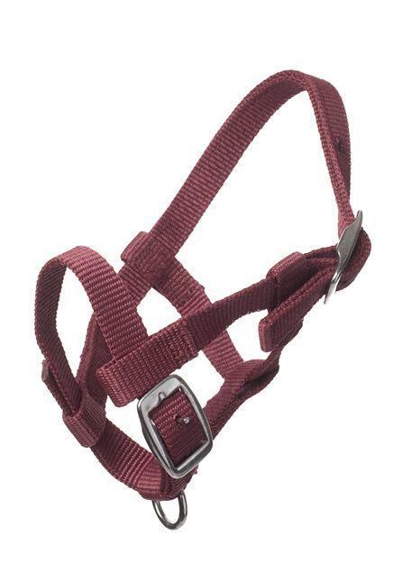 Adria Nylon headcollar