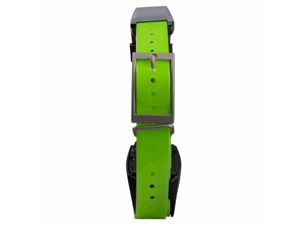 KT 15X dog navigation collar