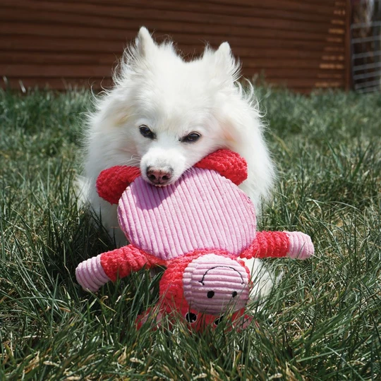 Pig L dog toy