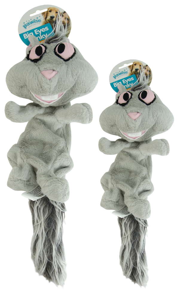 Big eyed funky squirrel 29cm plush dog toy