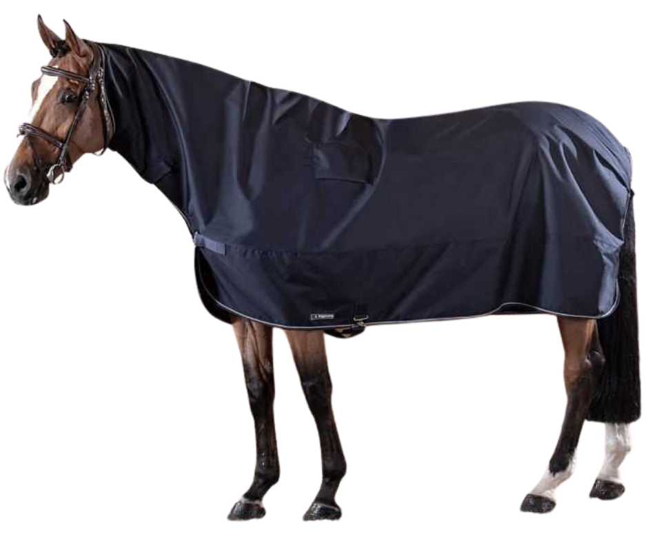 Corby Waterproof horse Rug