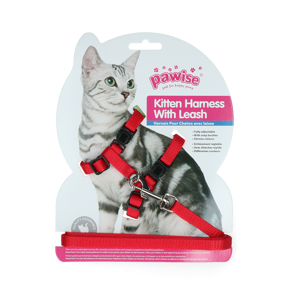 Cat harness leash-red / blue, cat harness