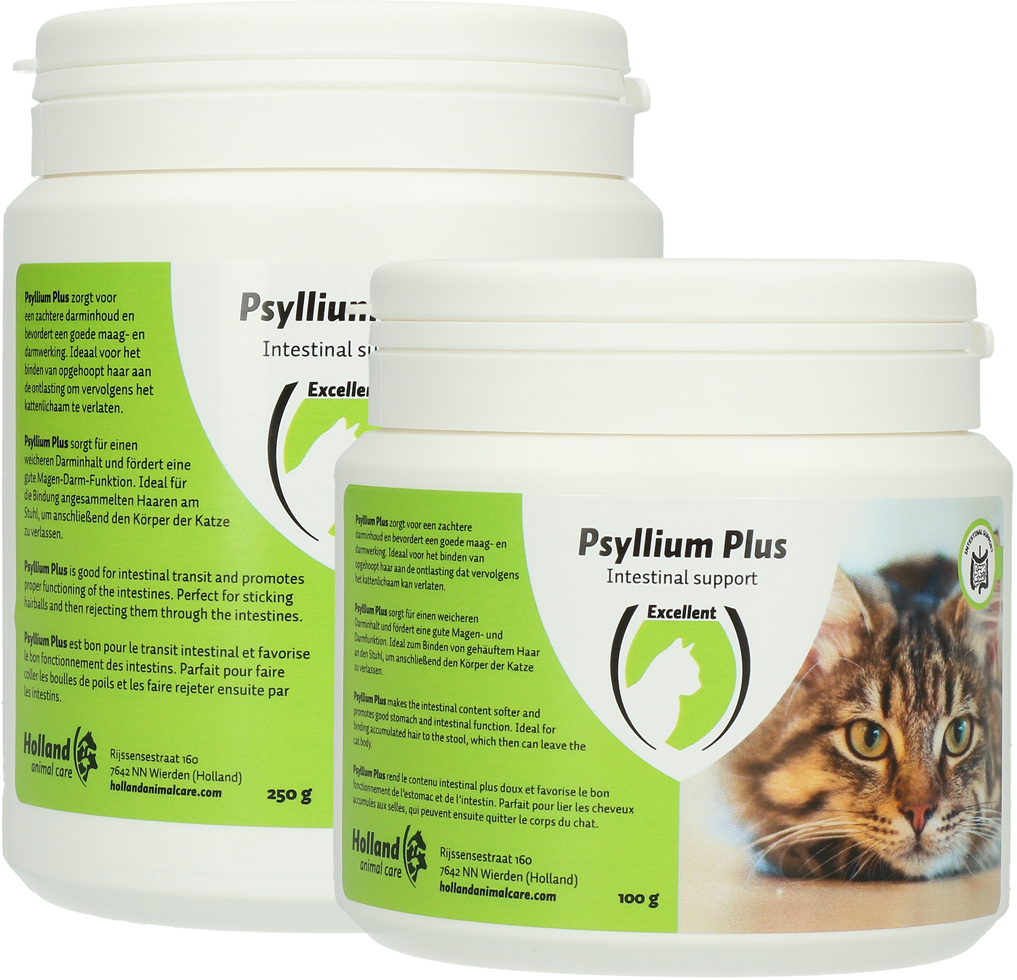 Psyllium Plus Cat, cat health, digestion