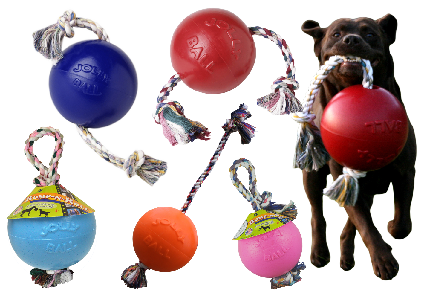 Scented red dog ball with rope