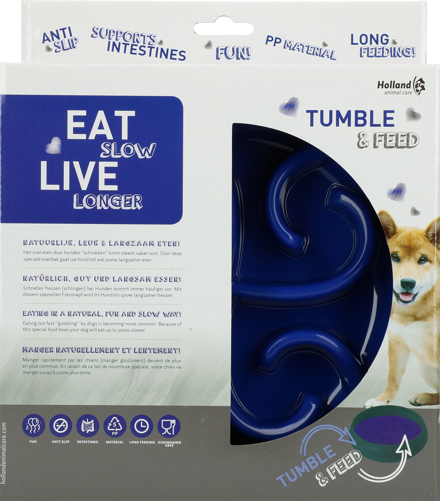 Slow feeding bowl for dog