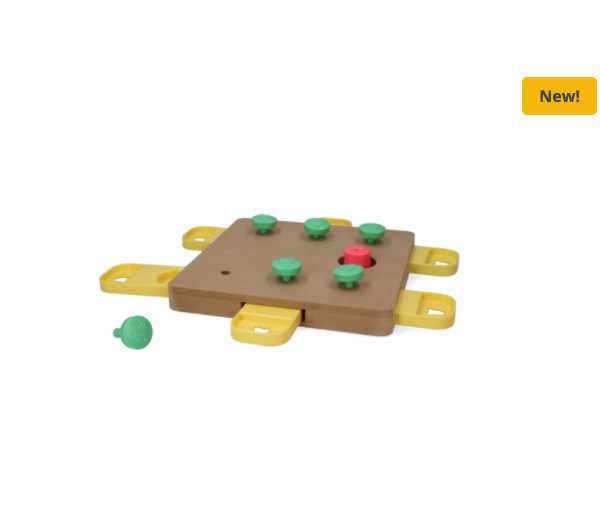 Dog training game level 2