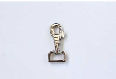 shiny carabiner