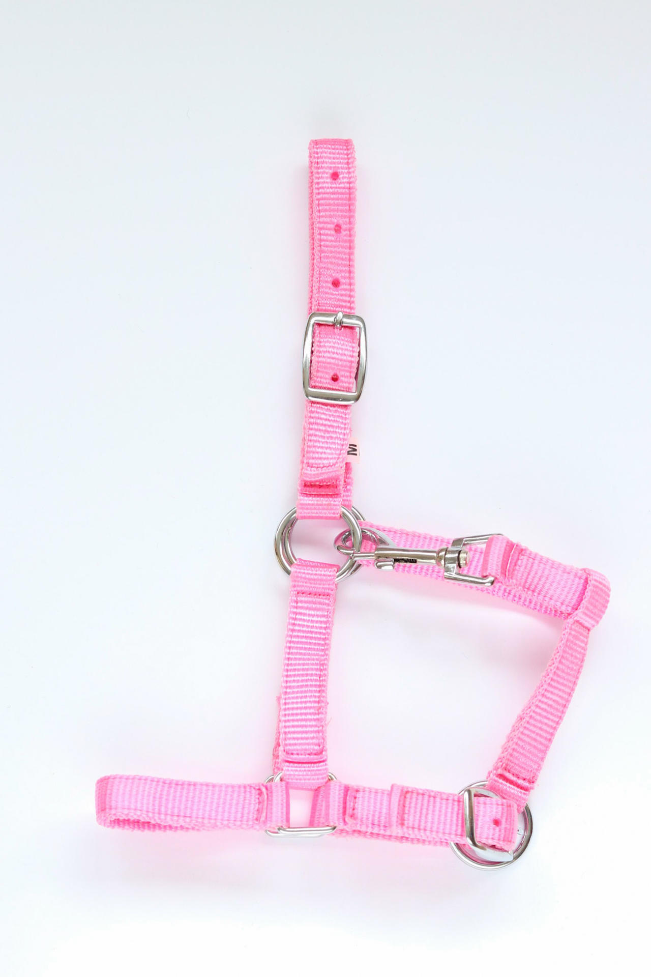 Astrid foal headcollar