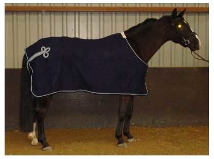 Paola horse rug